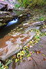 photo thumbnail #2