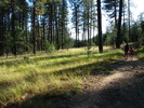 photo thumbnail #5