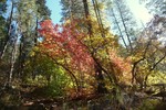 photo thumbnail #12