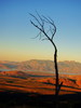 photo thumbnail #13