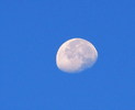photo thumbnail #15