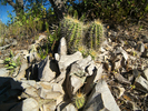 photo thumbnail #3