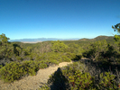 photo thumbnail #6
