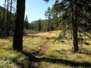 photo thumbnail #1