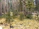 photo thumbnail #12