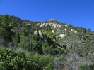 photo thumbnail #7