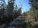 photo thumbnail #8