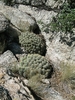 photo thumbnail #12