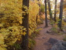 photo thumbnail #8
