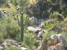 photo thumbnail #1