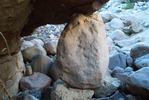 recent photo