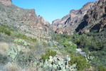 photo thumbnail #11