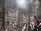 photo thumbnail #9