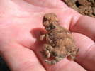 photo thumbnail #4