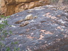 photo thumbnail #7