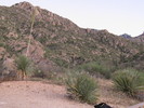 photo thumbnail #7