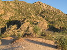 photo thumbnail #9