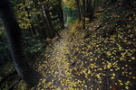 photo thumbnail #10