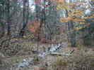 photo thumbnail #13