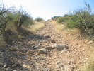 photo thumbnail #1