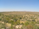 photo thumbnail #3