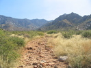 photo thumbnail #4