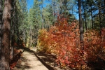 photo thumbnail #2