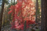 photo thumbnail #9