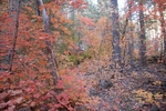 photo thumbnail #11