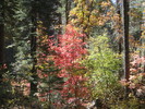 photo thumbnail #10