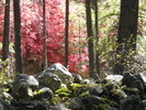photo thumbnail #12
