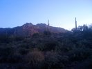 photo thumbnail #1