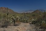 photo thumbnail #2