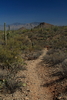 photo thumbnail #7