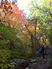 photo thumbnail #2