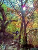 photo thumbnail #13
