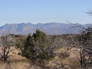 photo thumbnail #3