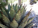 photo thumbnail #12