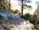 photo thumbnail #3