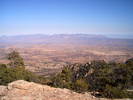 photo thumbnail #6