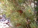 photo thumbnail #13