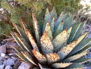 photo thumbnail #14