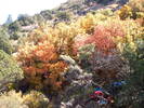 photo thumbnail #15