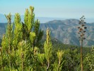 photo thumbnail #15