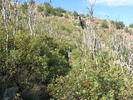photo thumbnail #7