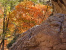 photo thumbnail #9