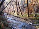 photo thumbnail #12