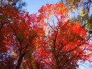 photo thumbnail #13