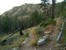 photo thumbnail #6