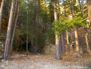 photo thumbnail #8